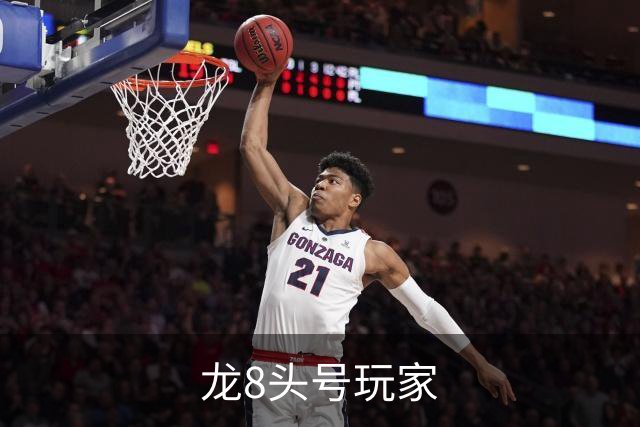 龙8头号玩家公司简介